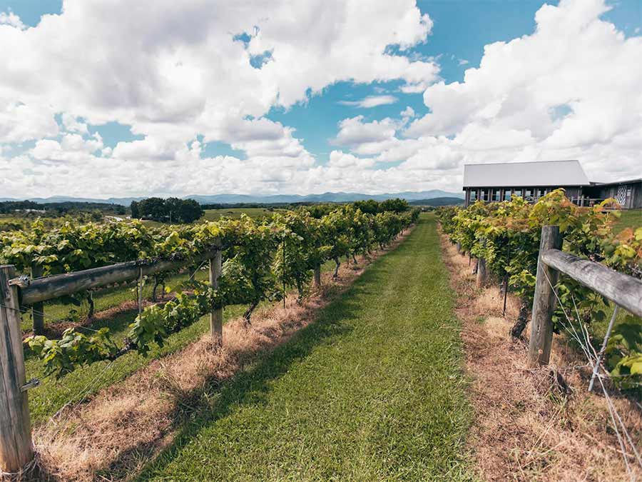 Walking Through Chattooga Belle Farm
