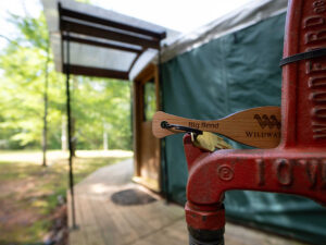 Yurt Camping in North Georgia