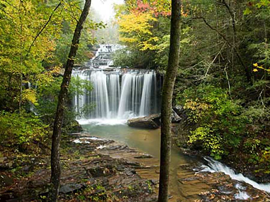 Brasstown Falls Hike
