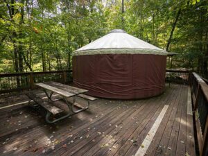 Group Yurt Camping in North Georgia Mountains