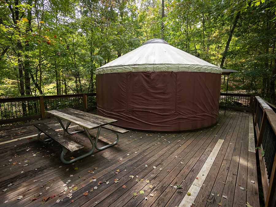 Group Yurt Camping in North Georgia Mountains